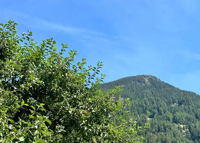 Gaestehaus Schoepf Elsa Λάνγκενφελντ