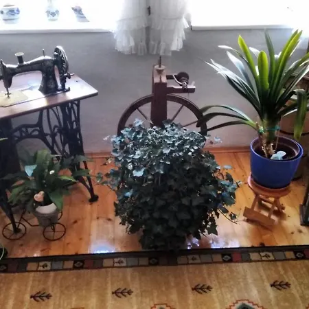 Gaestehaus Schoepf Elsa 住宿加早餐酒店 朗根费尔德