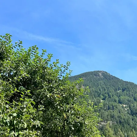 Gaestehaus Schoepf Elsa Längenfeld